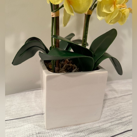 Yellow Orchid Arrangement in White Planter - Picture 5 of 9